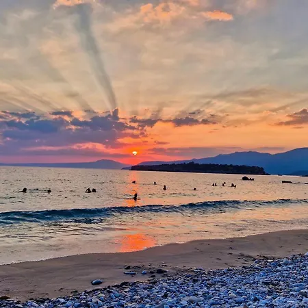 Tettix * Kardamyli