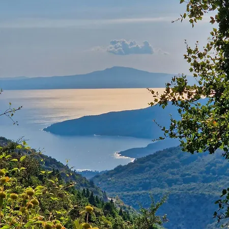Tettix Kardamyli